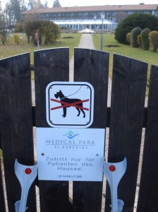 Aufgabe 2012: ohne Krücken und ohne Hund täglich 10 Minuten zügig gehen!