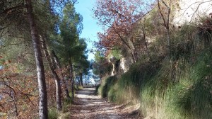 Italienischer Morgenspaziergang nach oben