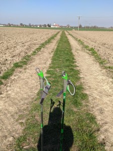 Nordic Walking über die Felder tut Köper, Geist und Seele gut.
