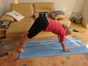 Sehr beliebt: Herabschauender Hund